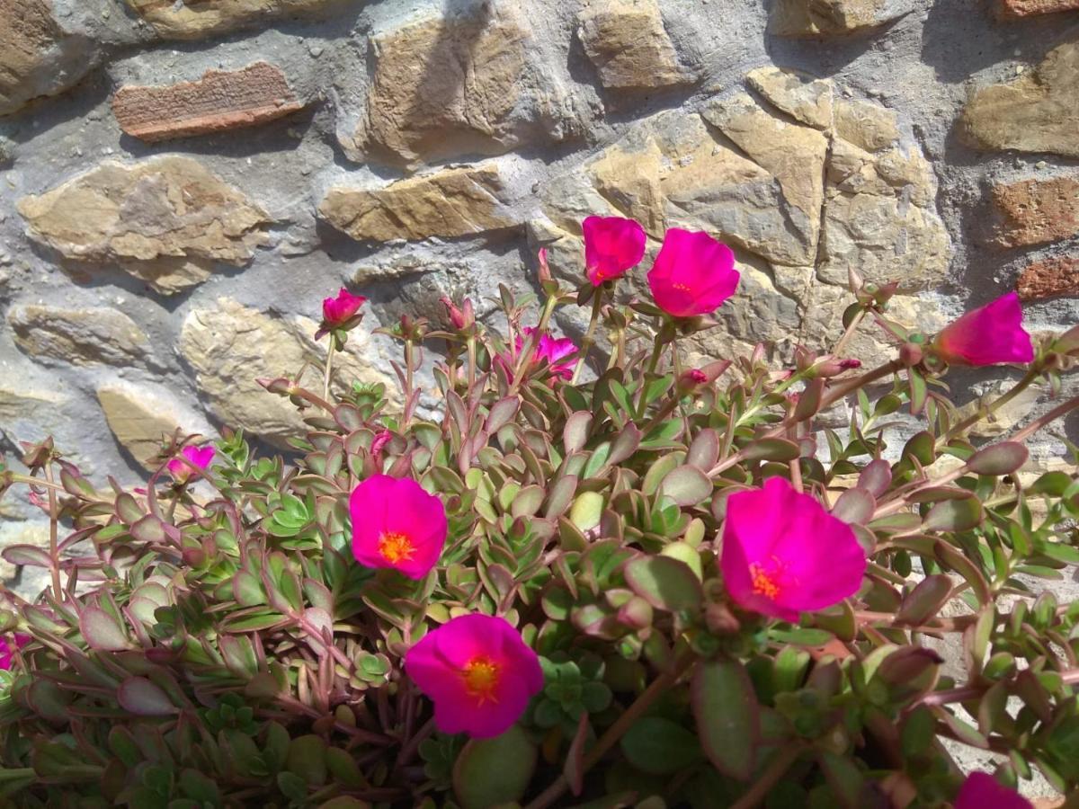 La Magnolia Bed & Breakfast Greve in Chianti Bagian luar foto