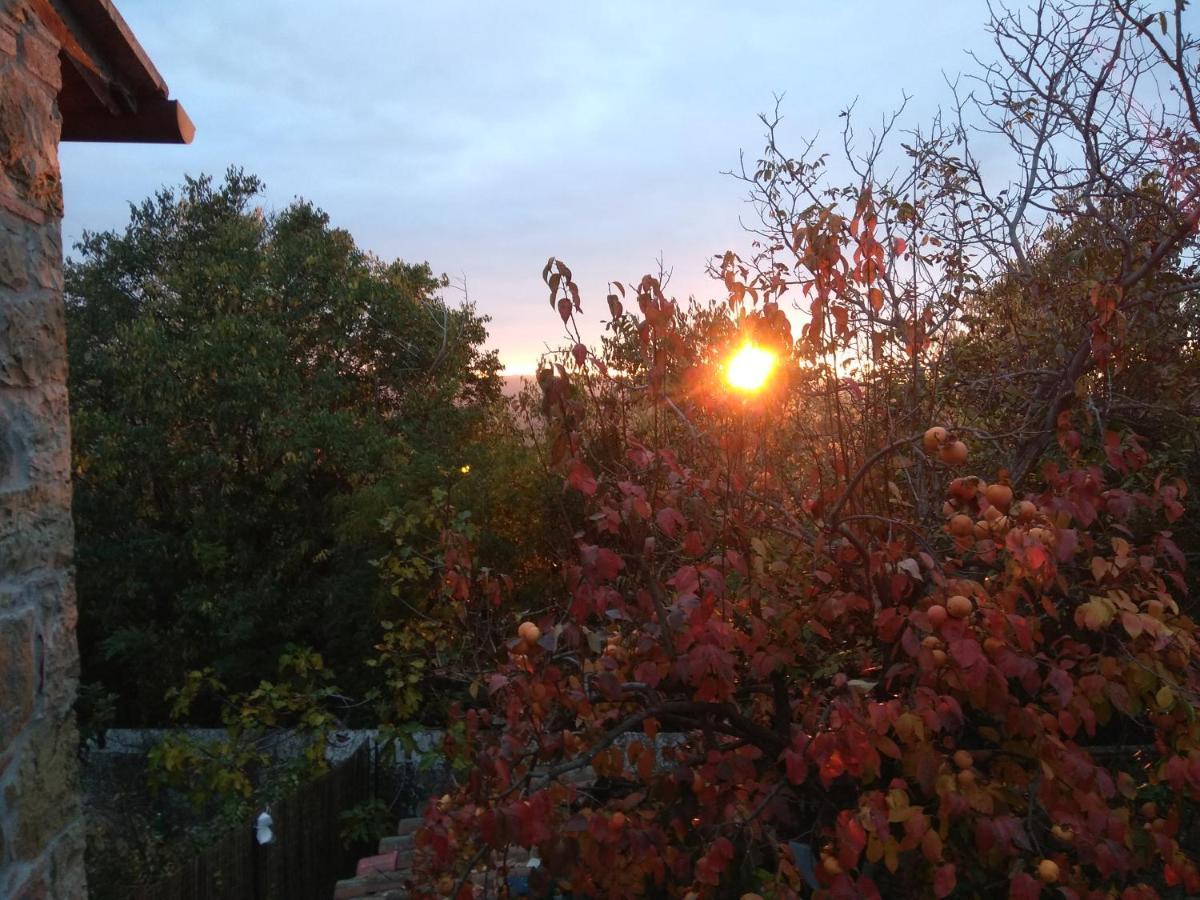 La Magnolia Bed & Breakfast Greve in Chianti Bagian luar foto