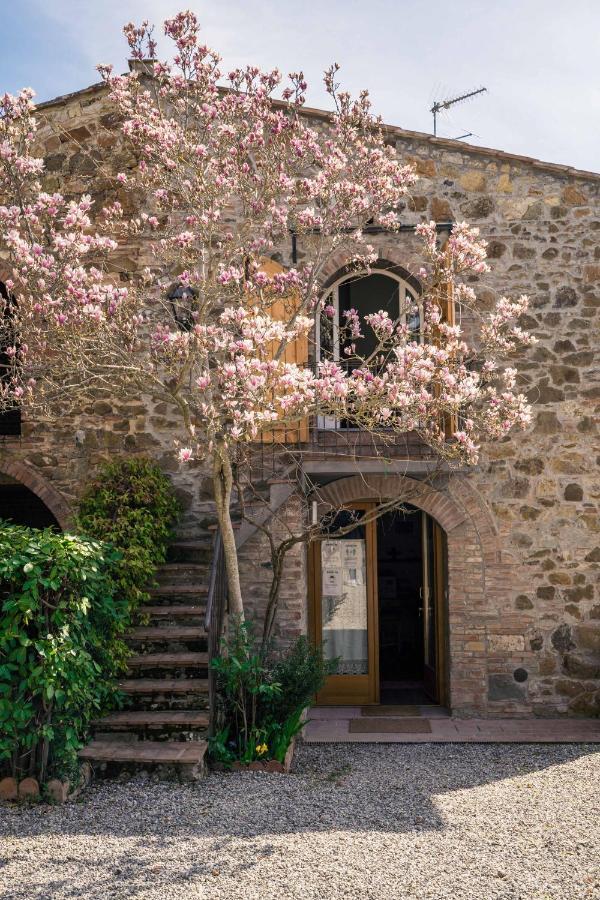 La Magnolia Bed & Breakfast Greve in Chianti Bagian luar foto