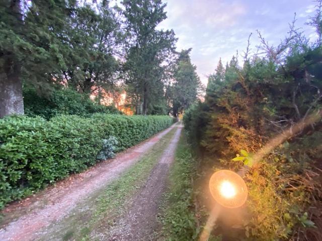 La Magnolia Bed & Breakfast Greve in Chianti Bagian luar foto