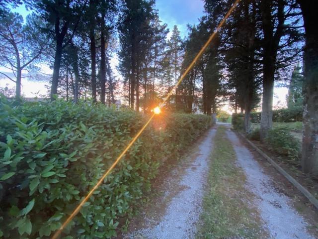 La Magnolia Bed & Breakfast Greve in Chianti Bagian luar foto